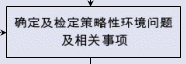 确定及检定策略性环境问题及相关事项