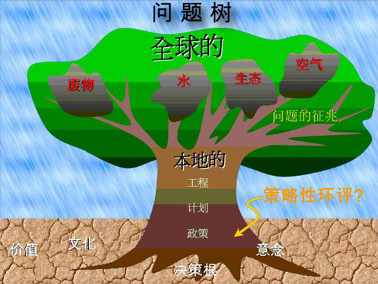 各地区性政策、计划及活动的累积环境影响，可以引至全球性的环境问题。然而，策略性环评在制订政策、计划及活动和决策时，在策略性层面进行全面评估，可避免或减少累积影响。