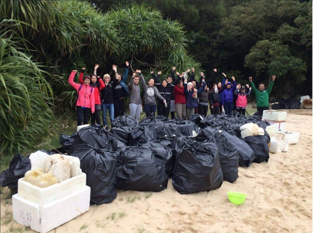 小鸦洲清洁活动