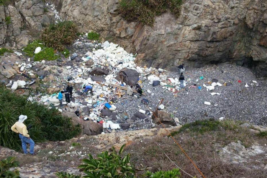 东龙岛清洁活动